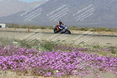 media/Feb-04-2023-SoCal Trackdays (Sat) [[8a776bf2c3]]/Turn 15 Inside Blooming (1050am)/